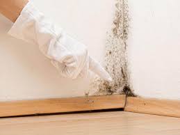 Best Black Mold Removal  in Richmond, CA